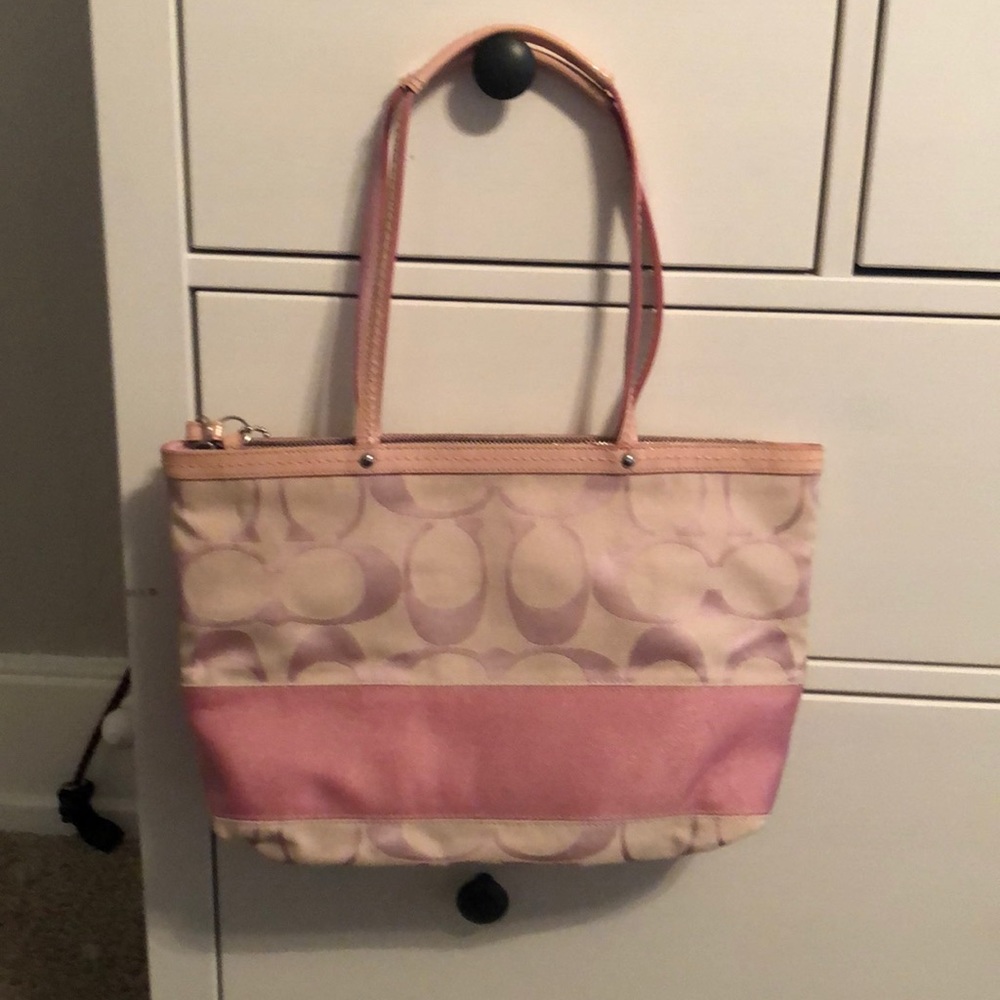 Coach Signature Stripe Purse